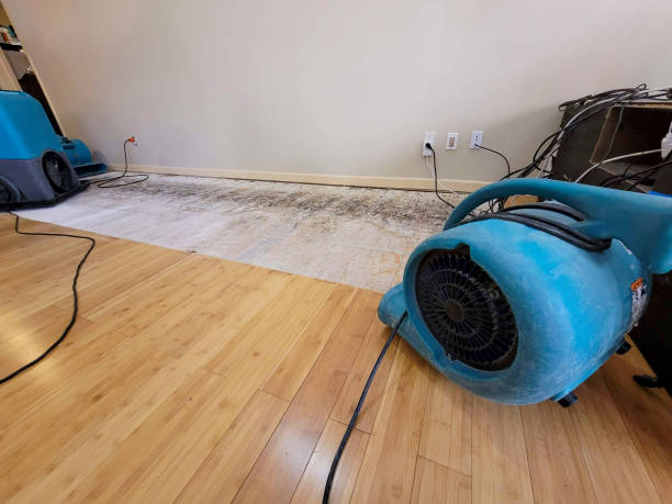 Professional Basement Flood Cleanup technician working in Hanover, NH